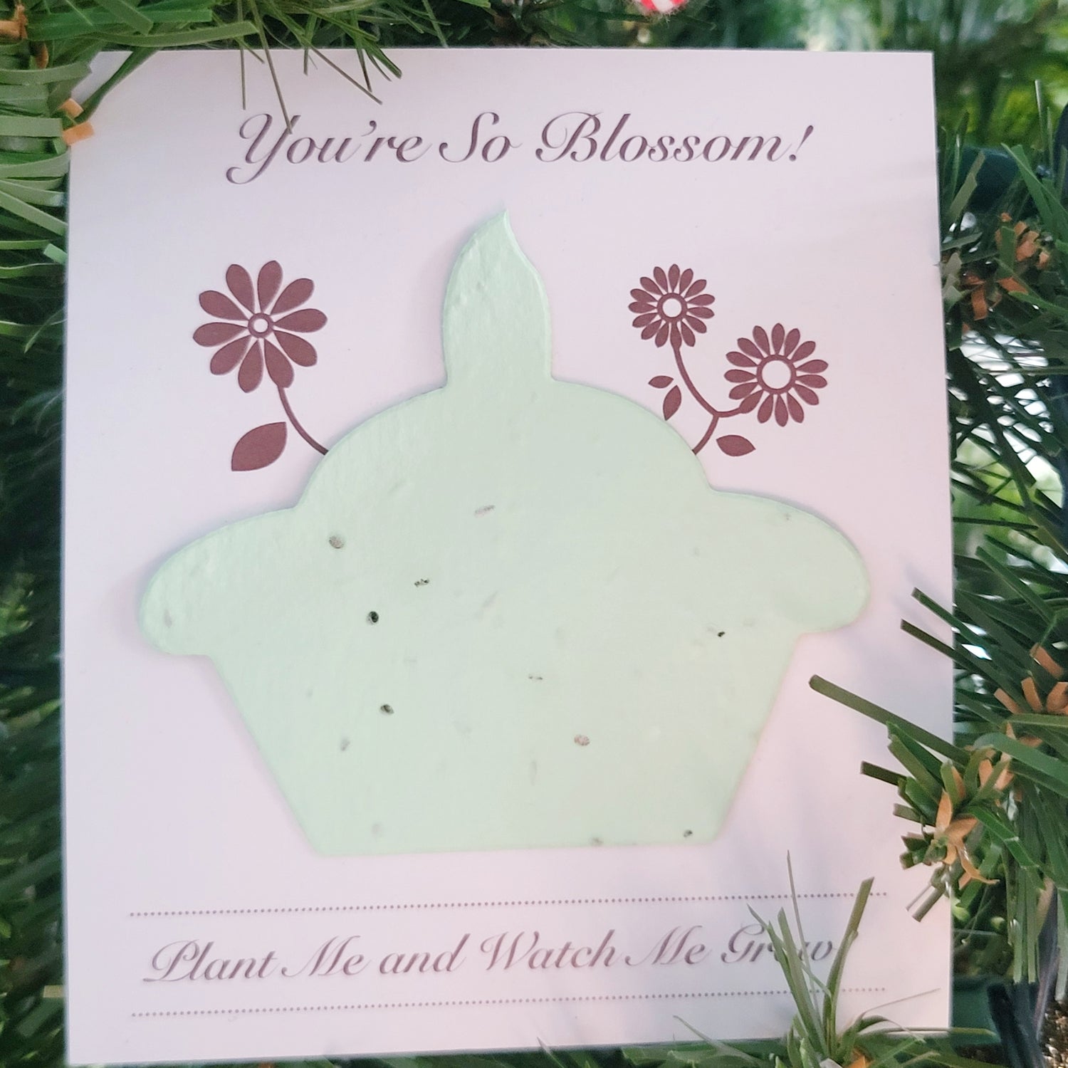 NEW (Retail) - You're So Blossom plantable cupcake paper (grows wildflowers) 🍁