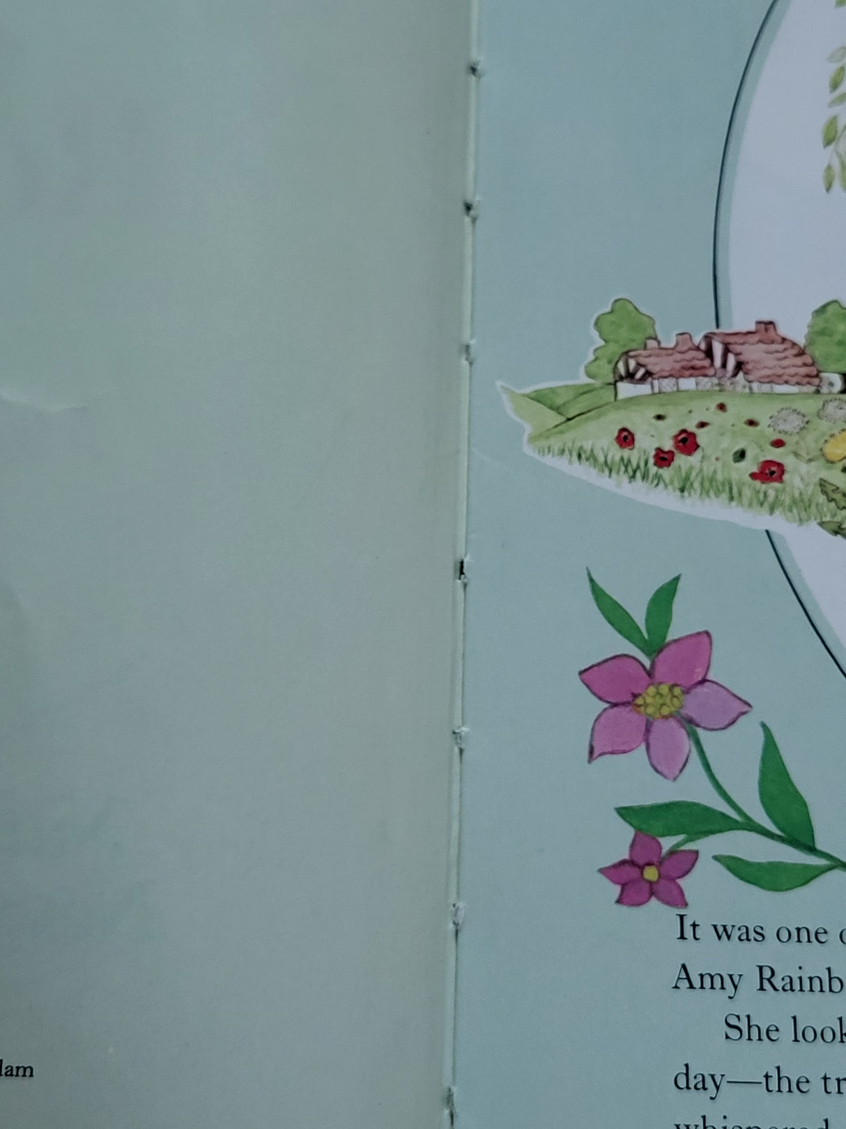 Vintage 1980 first edition hardcover copy of Amy Rainbow and the Magic Spectacles hardcover book