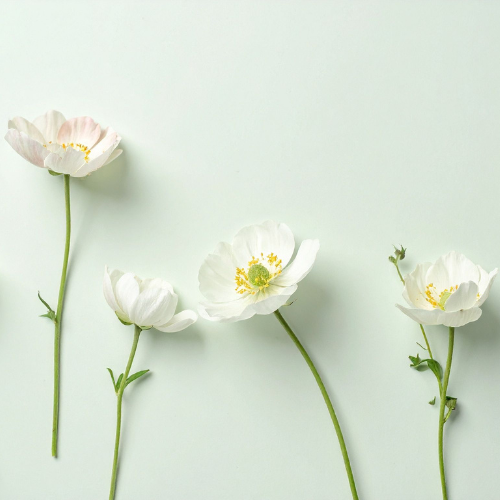 Small Shop + Boutique + Vintage