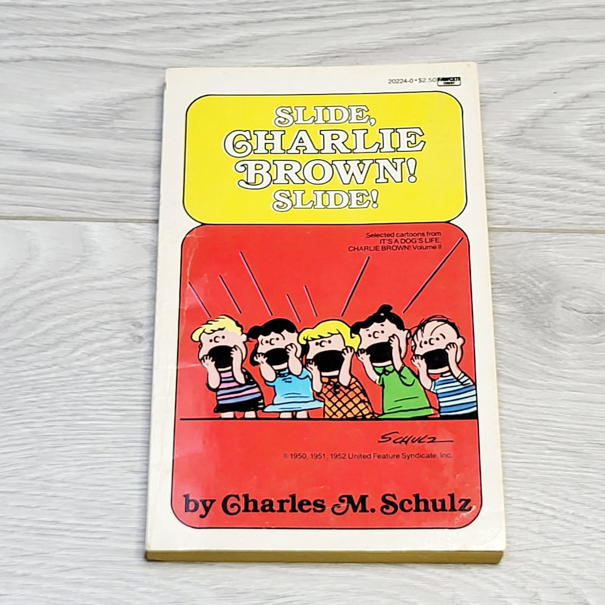 MSNDS2 - Slide Charlie Brown, Slide! Vintage soft cover graphic novel (1984)