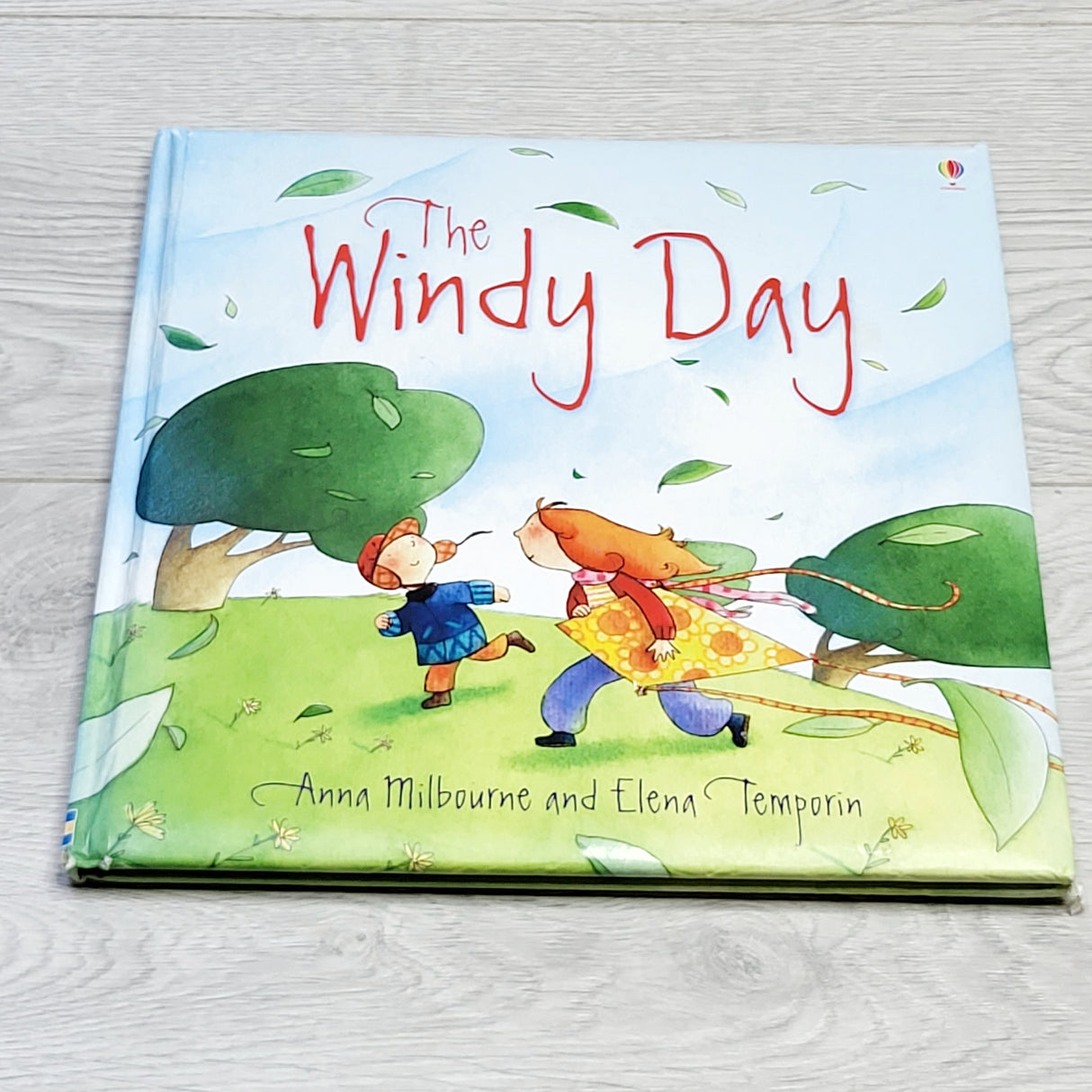 MSNDS2 - The Windy Day large hardcover Usborne book