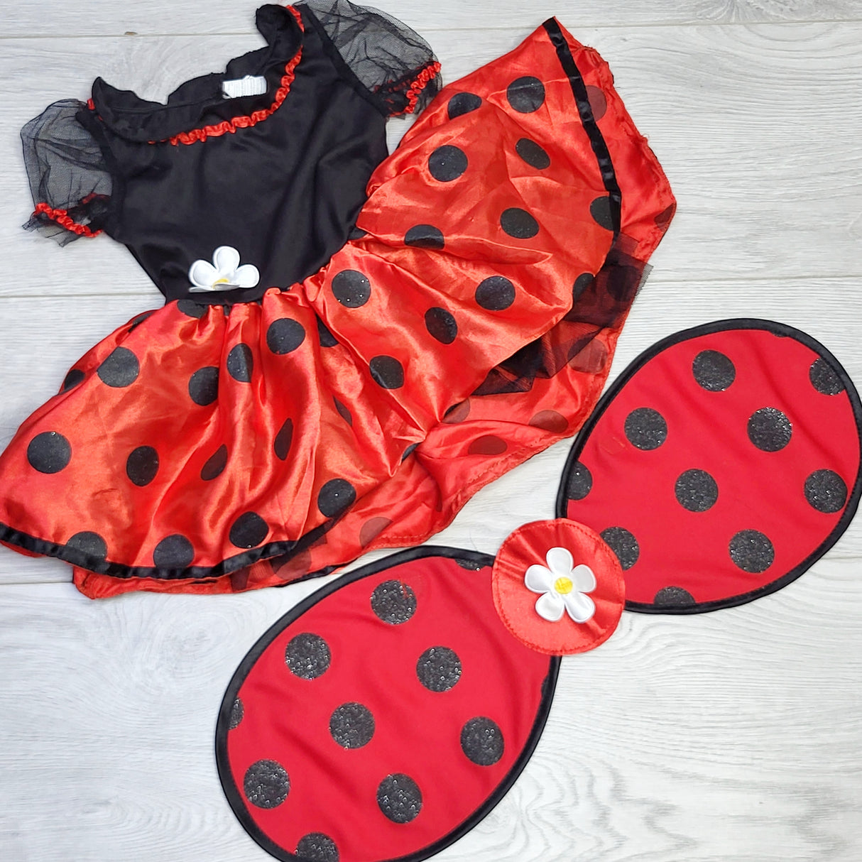 MSNDS2 - Ladybug costume with wings. Size 0-6 months