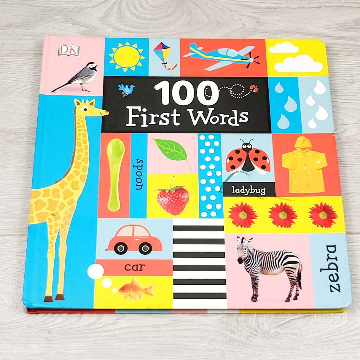 SPLT2 - 100 First Words. Very large board book