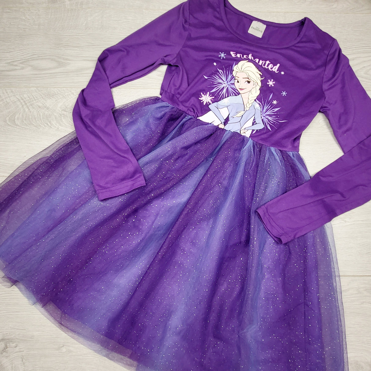 SPLT2 - Frozen 2 purple Elsa dress with tulle skirting. Size 10/12