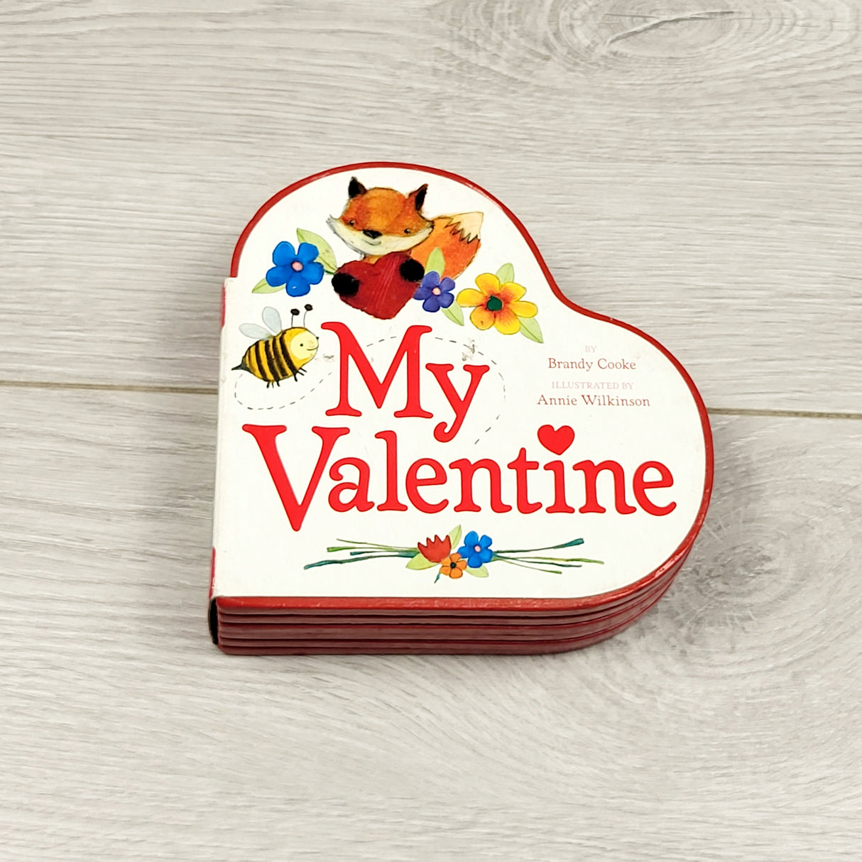 MHAN2 - My Valentine plastic book