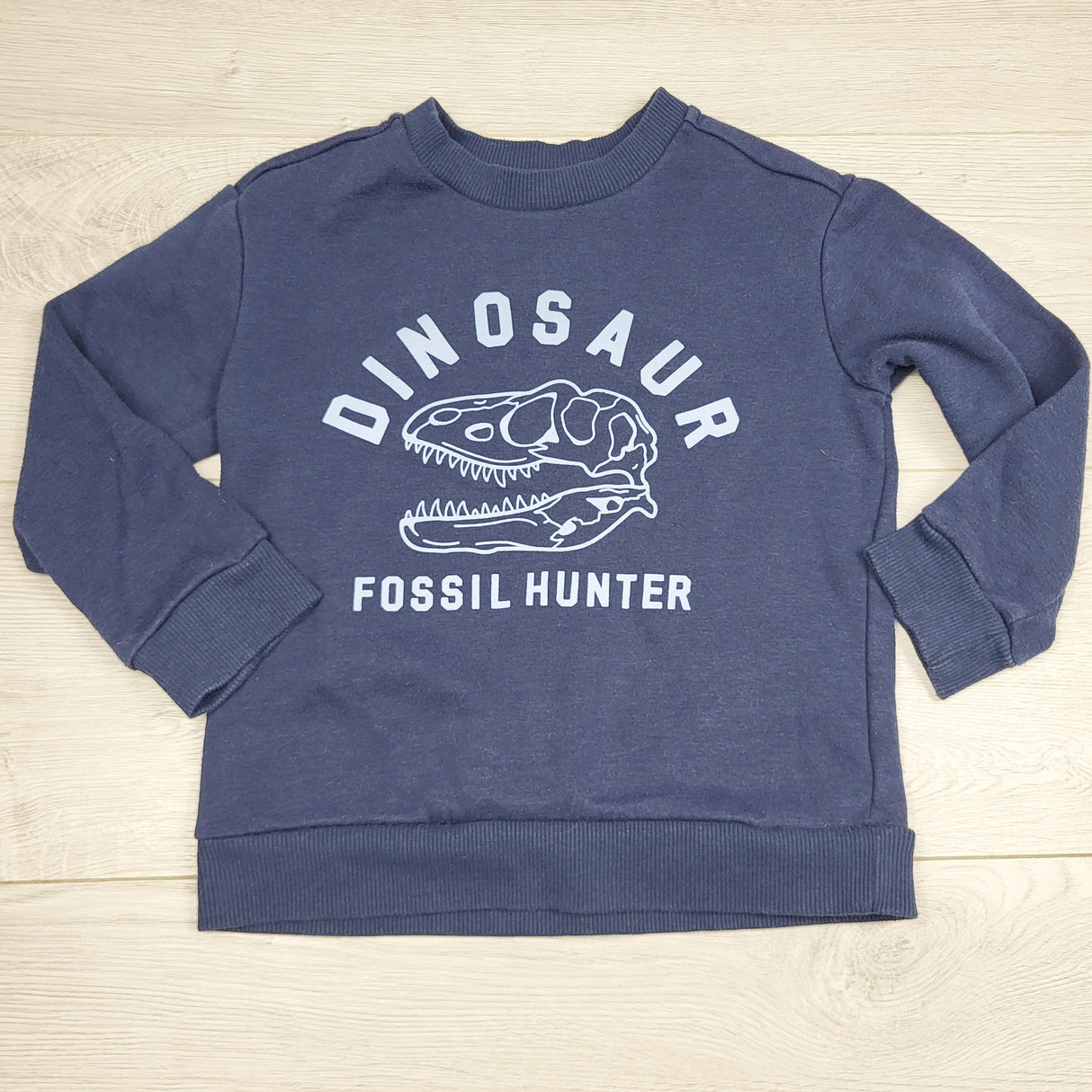 RMAZ2 - Blue fleecy lined "Dinosaur Fossil Hunter" sweatshirt. Approx 4T