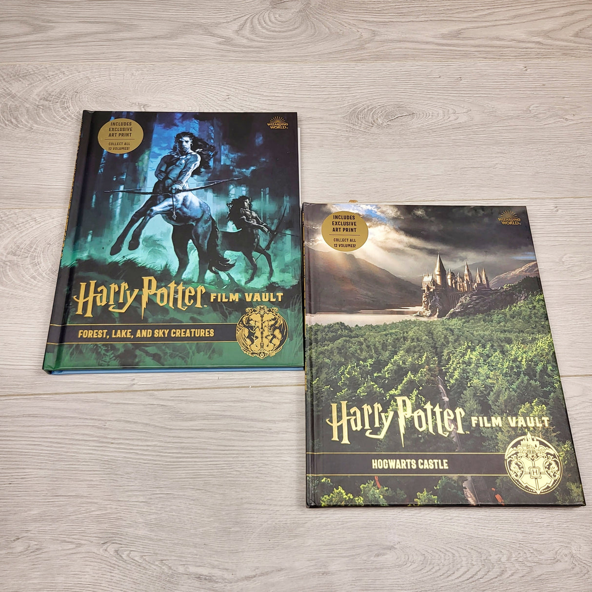 KTBL2 - Pair of hardcover Harry Potter Film Vault books