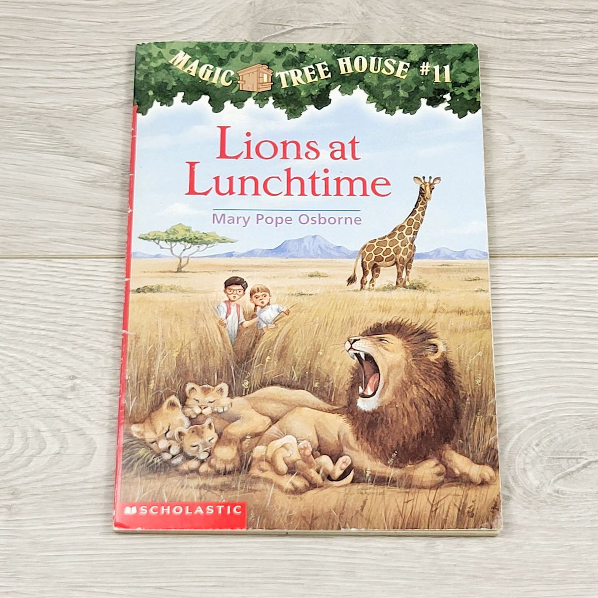 CKFT1 - Lion's at Lunchtime. Soft cover Magic Treehouse chapter book