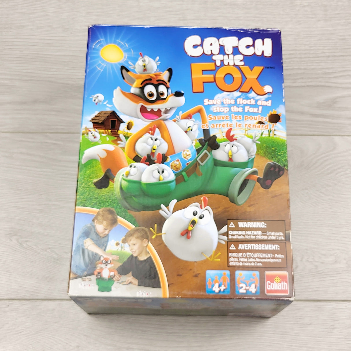 ATER1 - Catch the Fox Game