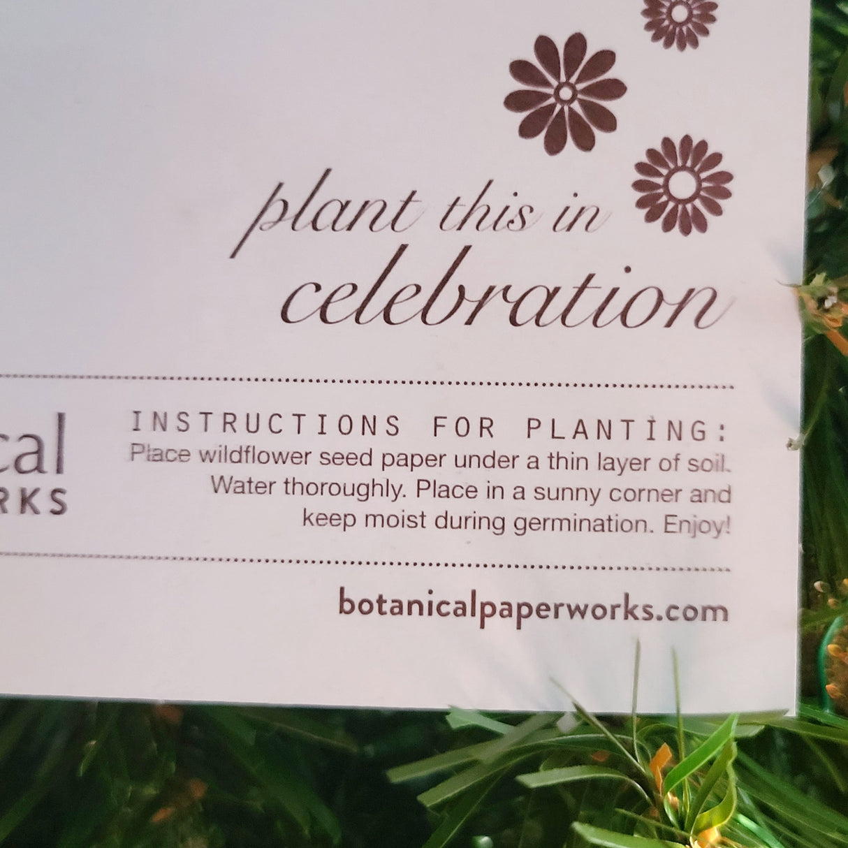 NEW (Retail) - You're So Blossom plantable cupcake paper (grows wildflowers)