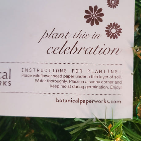 NEW (Retail) - You're So Blossom plantable cupcake paper (grows wildflowers)