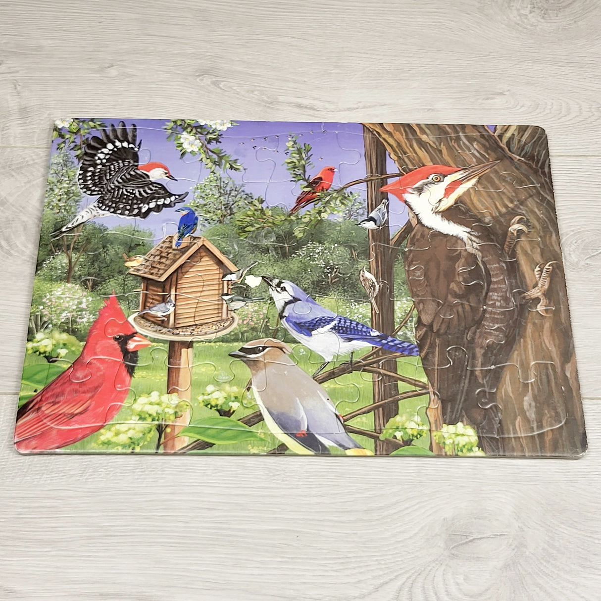 NREIM1 - Cobble Hill "Around the Birdfeeder" tray puzzle