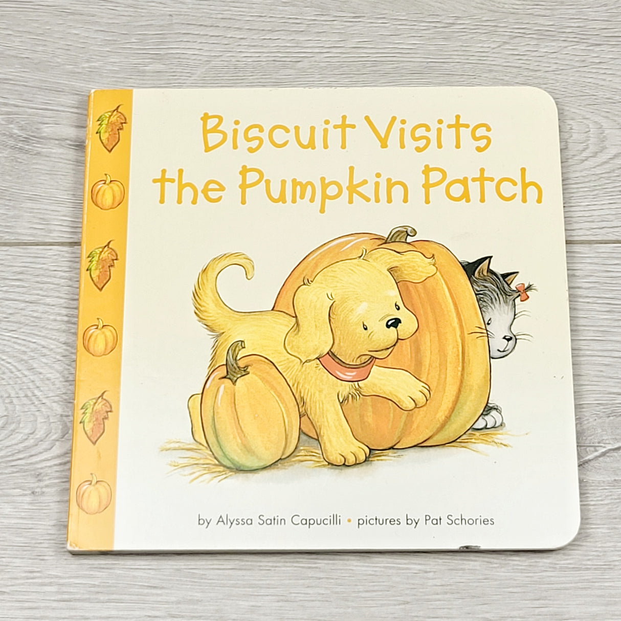 CHLV2 - Biscuit Visits the Pumpkin Patch. Board book