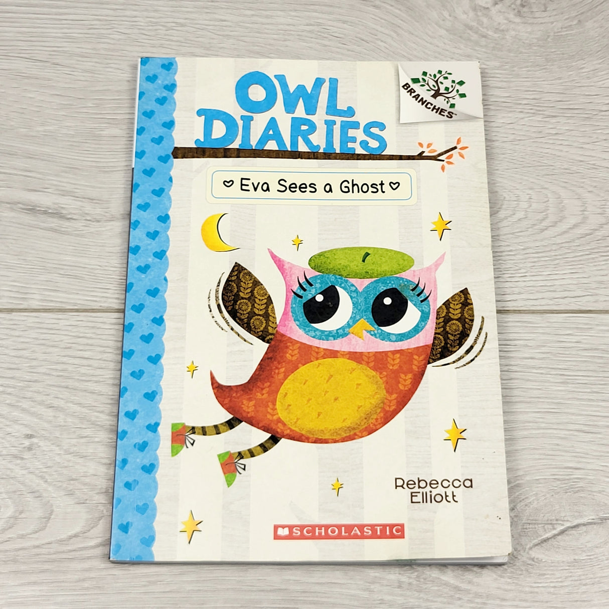 SHYS2 - Eva Sees a Ghost. Soft cover Owl Diaries chapter book