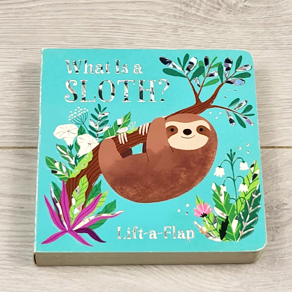 KARE1 - What is a Sloth? Board book