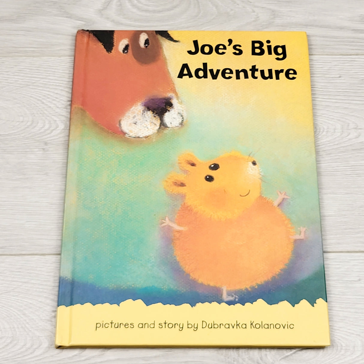 SPLT5 - Joe's Big Adventure. Hardcover book