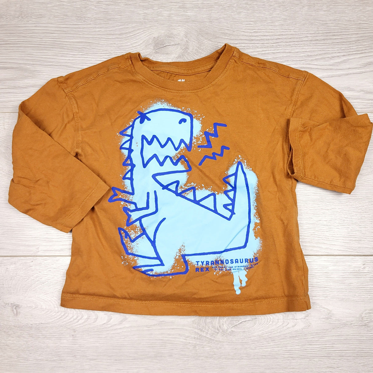 MRSH1 - H and M brownish-orange long sleeved top with dinosaur. Size 18-24 months