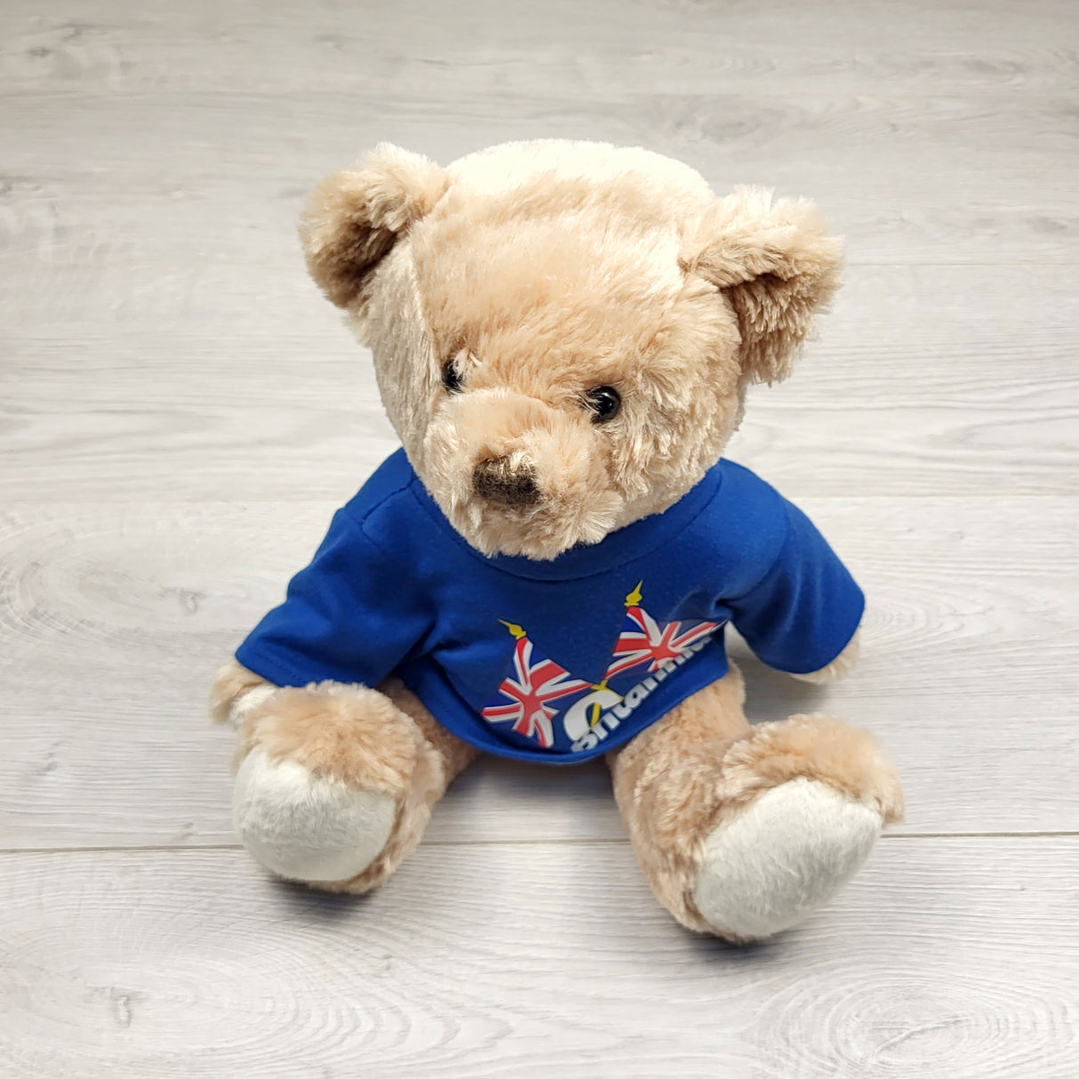 JLSN1 - Glorious Britain Cool Britannia Teddy Bear Plush