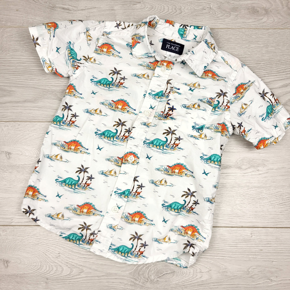 RMAZ1 - Children's Place white button down shirt with dinosaurs and volcanoes. Size 4T