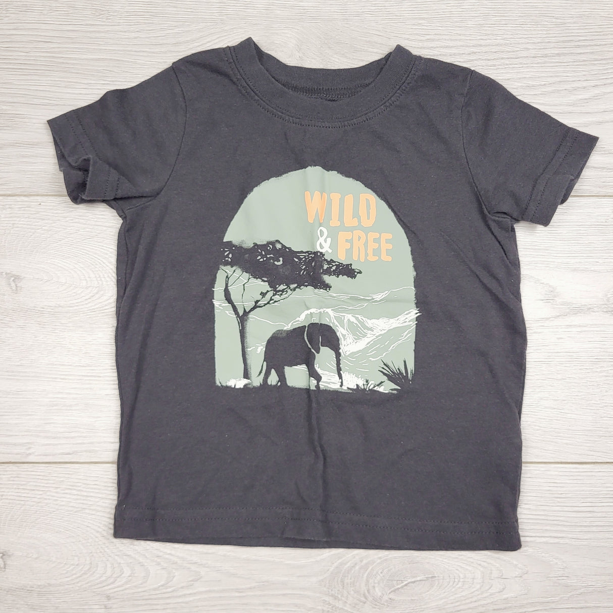 GFST1 - Child of Mine dark grey "Wild and Free" t-shirt. Size 24 months