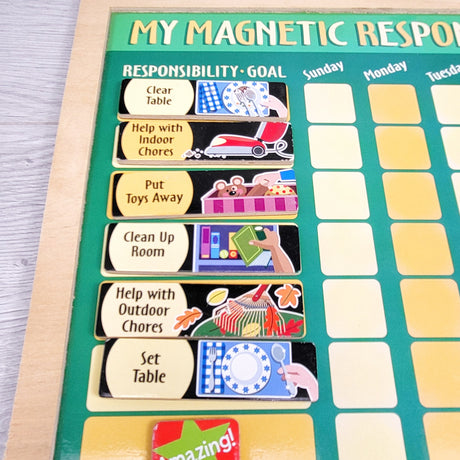 RHW1 - Melissa and Doug magnetic responsibility chart. LOCAL delivery or pick up only