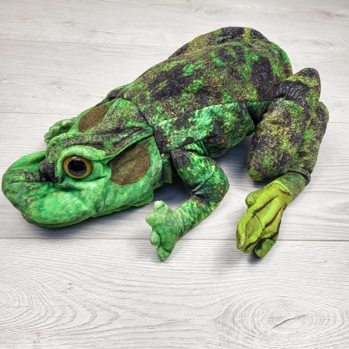 CCWD1 - Folkmanis frog lifecycle reversible puppet