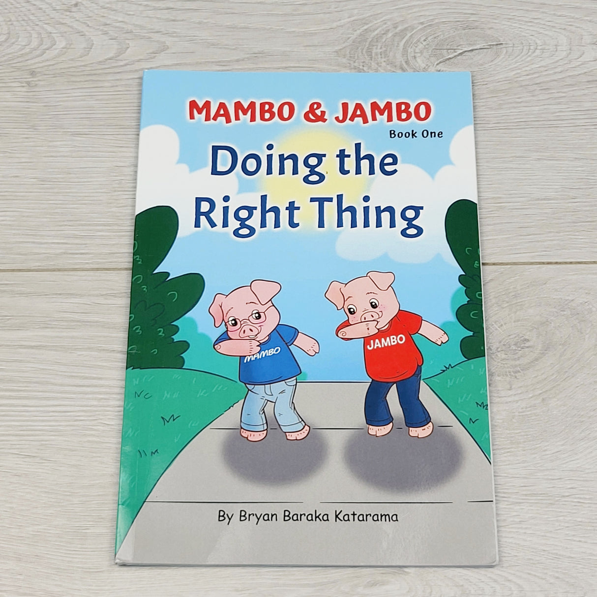 VKBL2 - Doing the Right Thing. Soft cover book