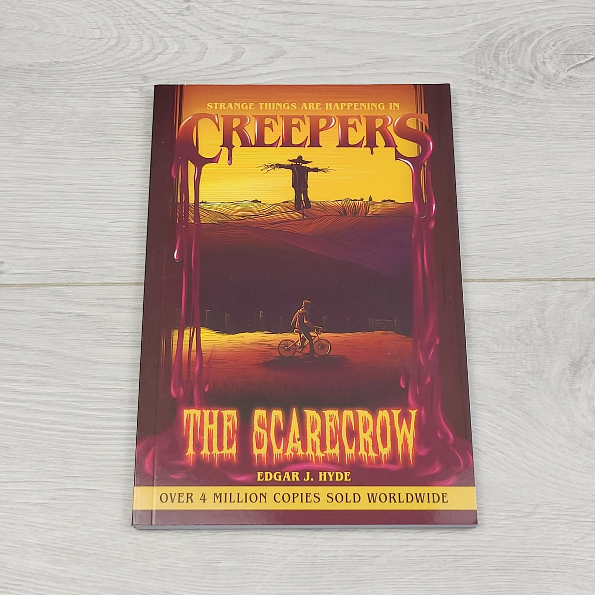 SDAN1 - The Scarecrow. Soft cover chapter book