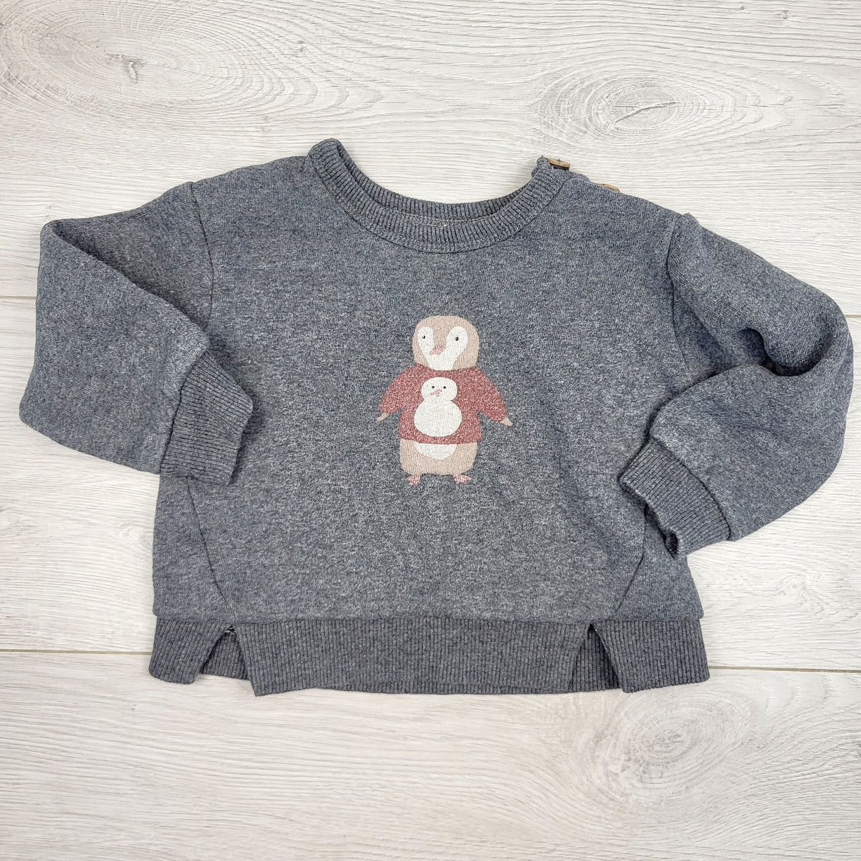 VKBL3 - Rise Little Earthling grey fleecy lined owl sweatshirt. Size 9-12 months 🍁