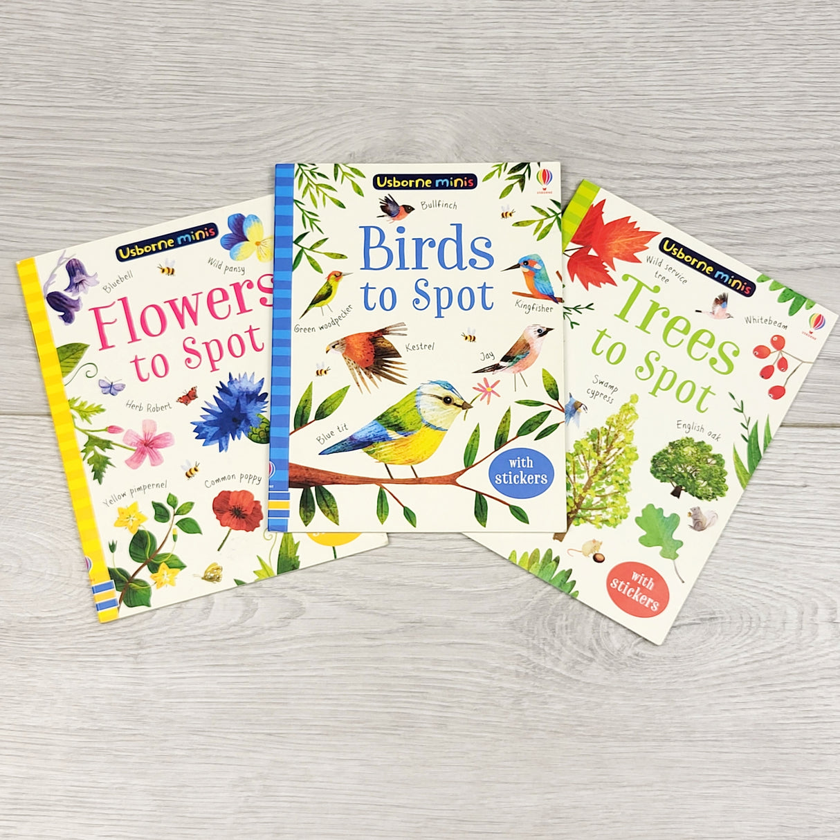 AGLL1 - Usborne trio of "mini" books.