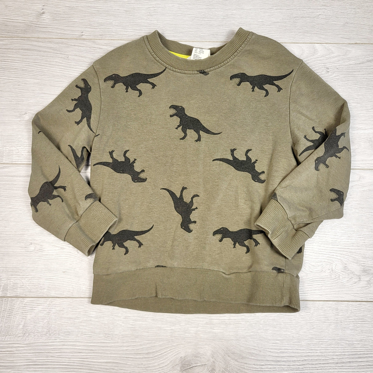 LESB1 - H and M green organic cotton dinosaur sweatshirt. Size 2-4T