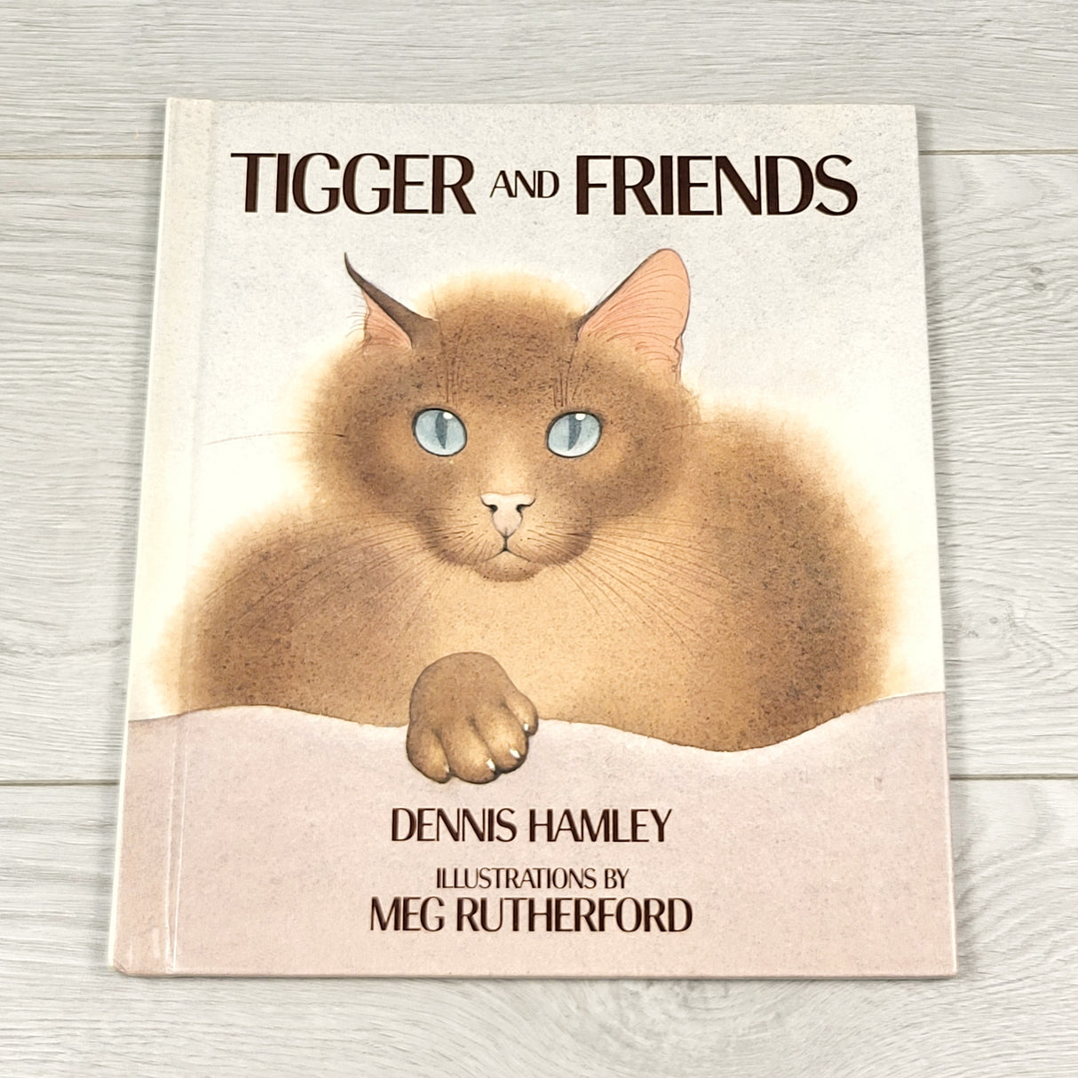 TBRG2 - Tigger and Friends. Hardcover book