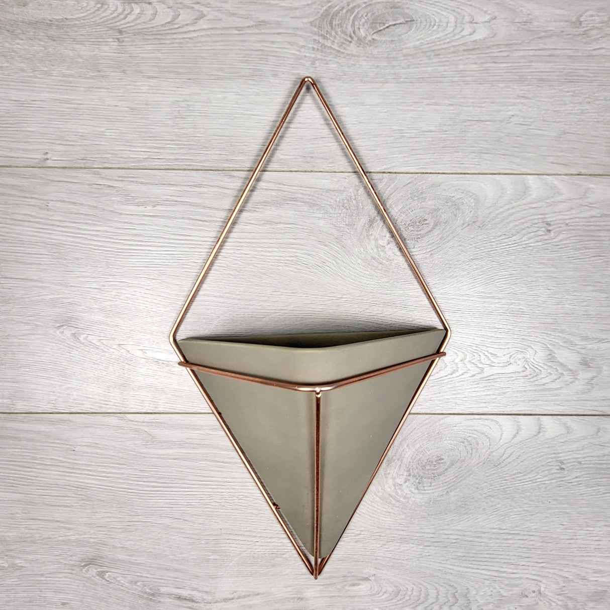 ALNG2 - Umbra Trigg plant display wall hanger
