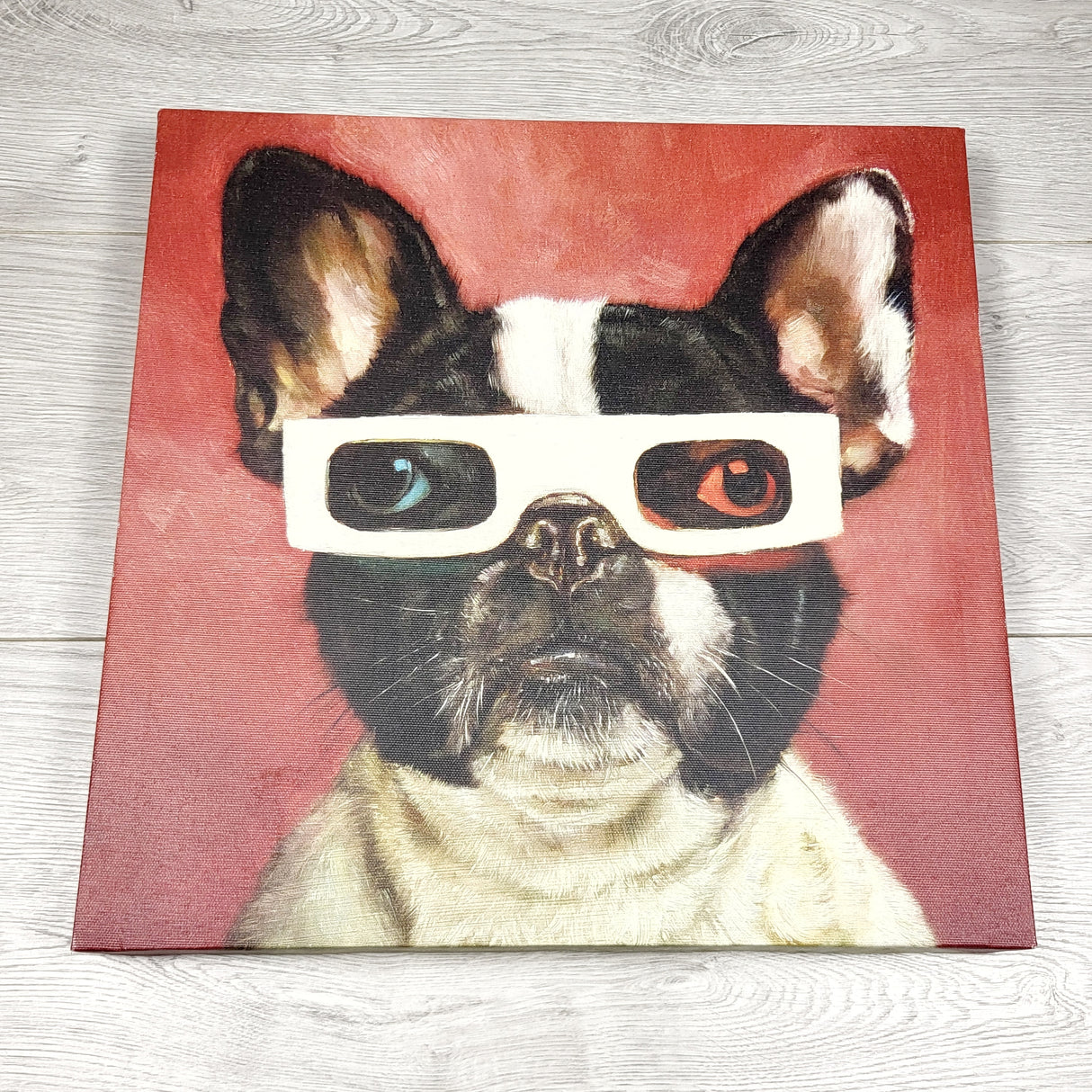 TGSS3 - Dog in 3D glasses canvas wall hanging. LOCAL pick up or delivery only
