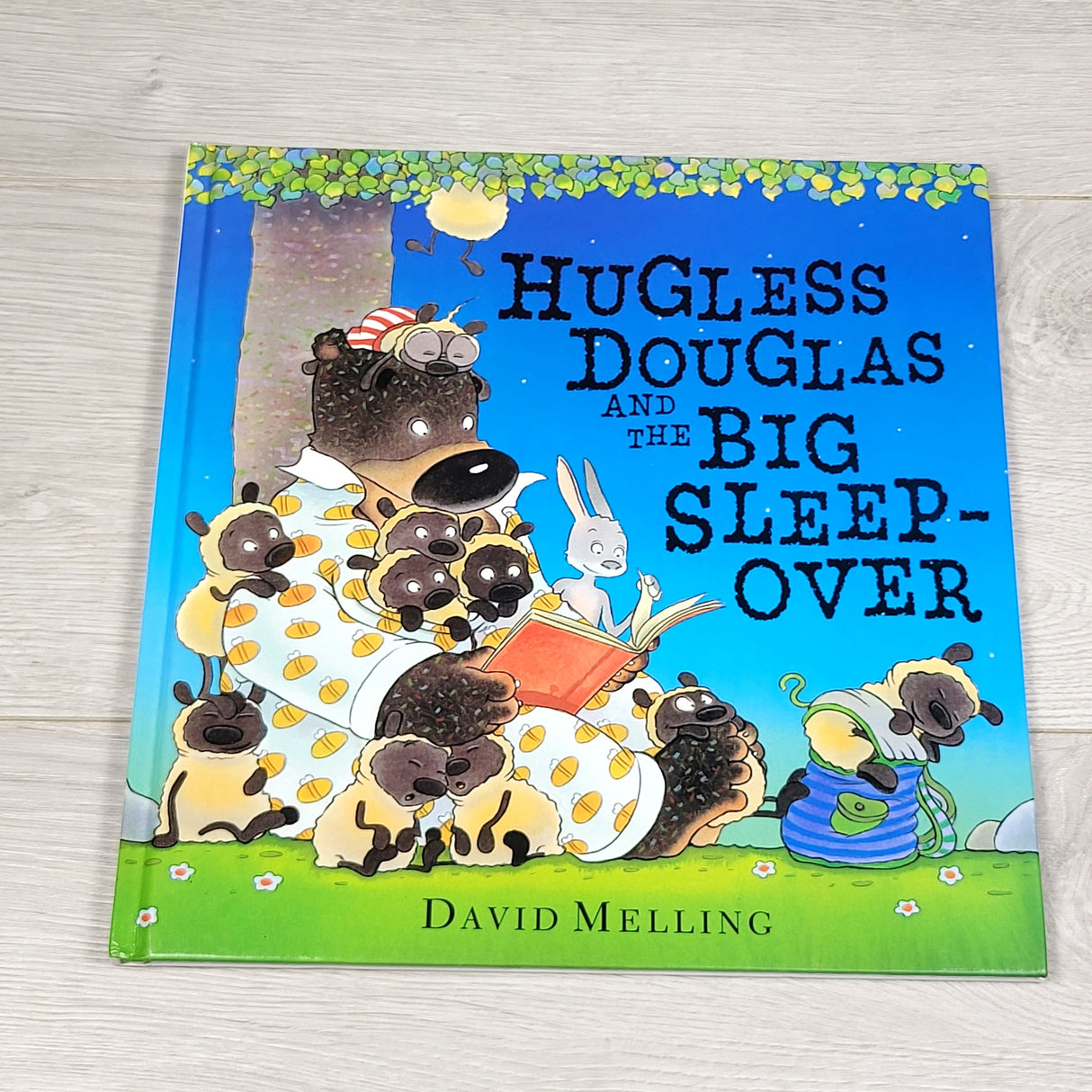 MBW2 - Hugless Douglas and the Big Sleepover. Hardcover book
