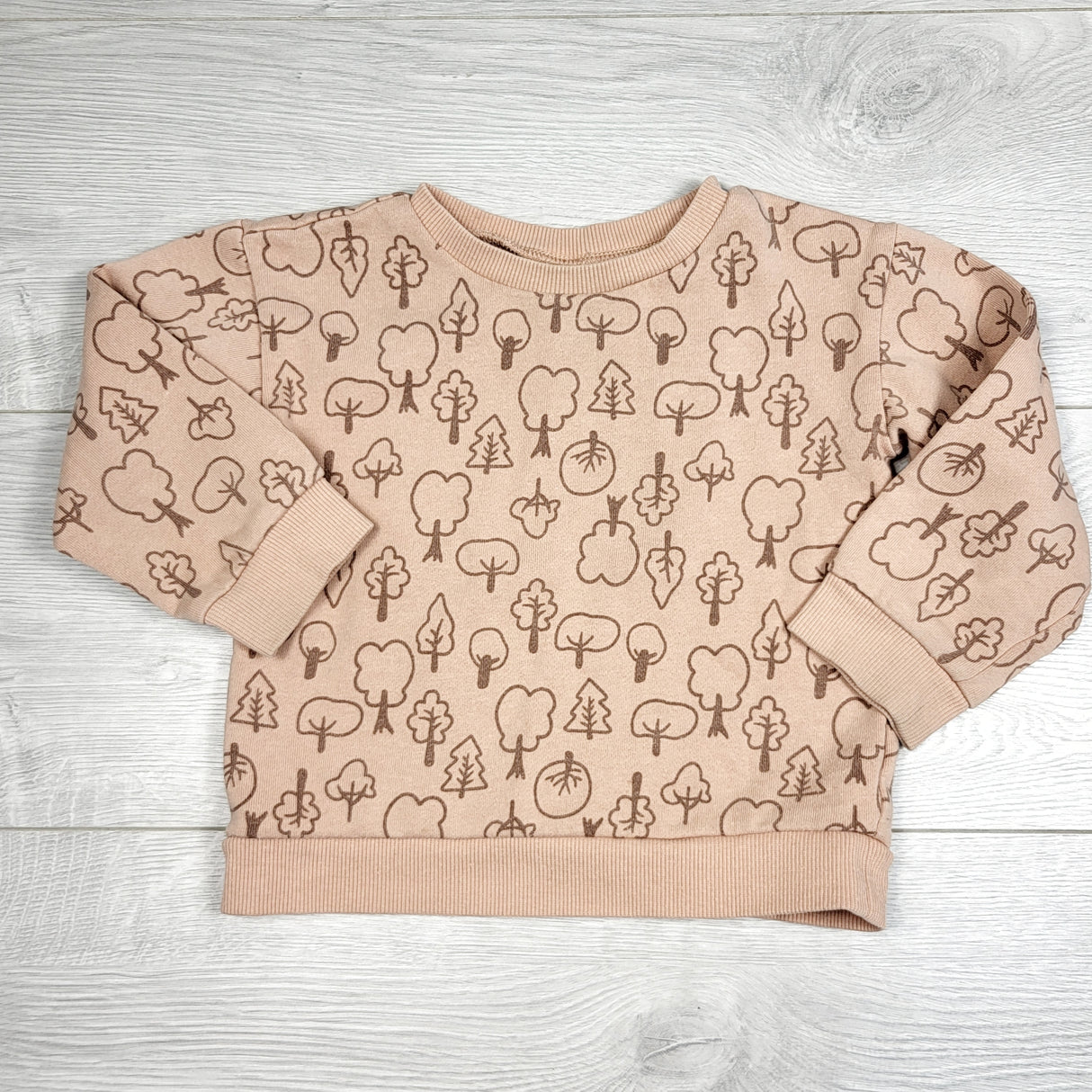 LUGE1 - Joe crewneck sweatshirt with trees. Size 18-24 months 🍁