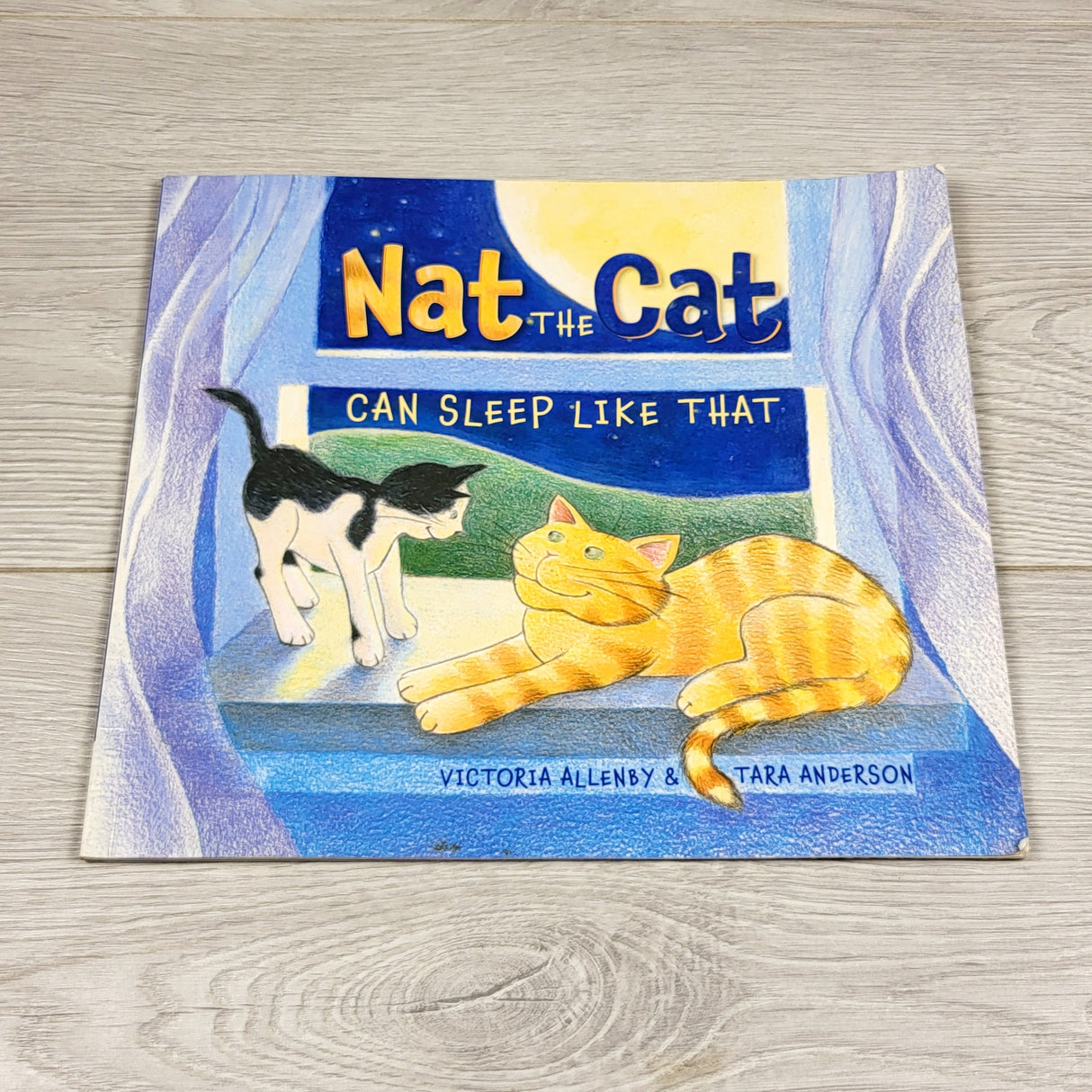 JEST1 - Nat the Cat Can Sleep Like That. Soft cover book