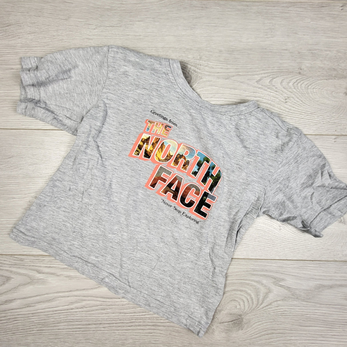 KDEL3 - The North face grey t-shirt. Size 4T