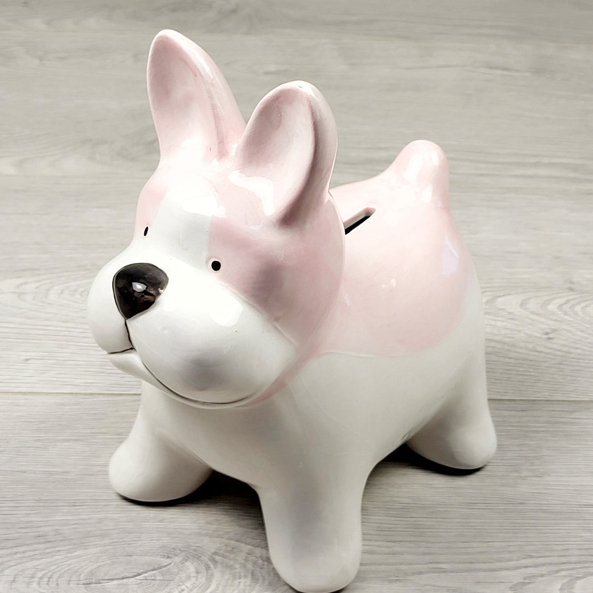 TSAM1 - Ceramic dog coin bank. LOCAL pick up or delivery only