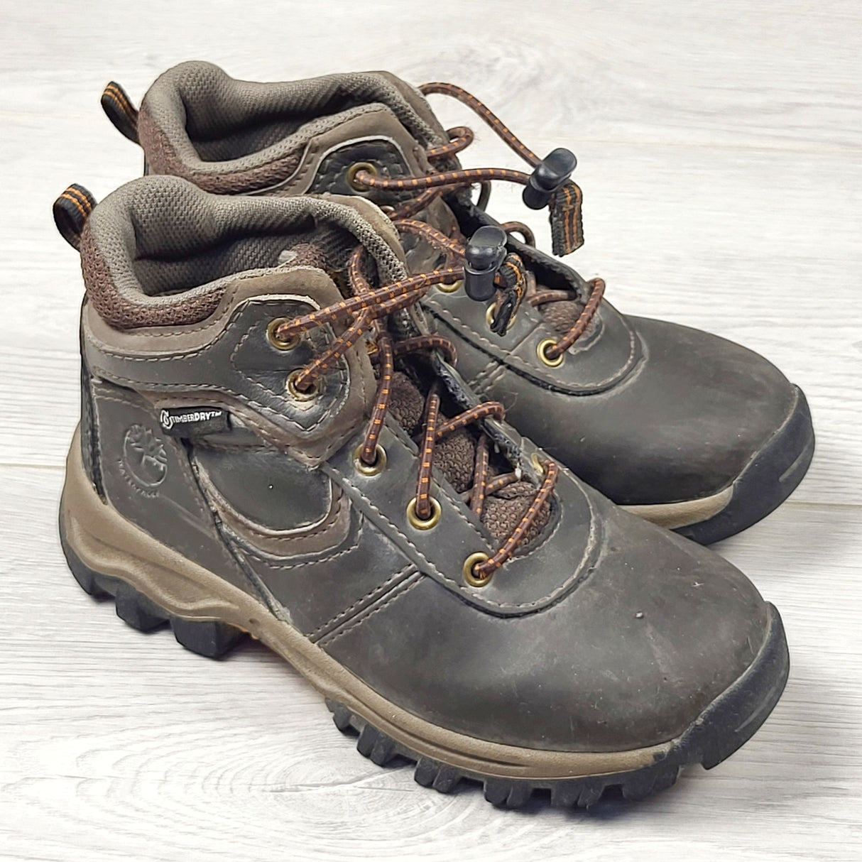 TSAM1 - Timberland Mt. Maddsen Waterproof Mid Hiking Boot. Size 10