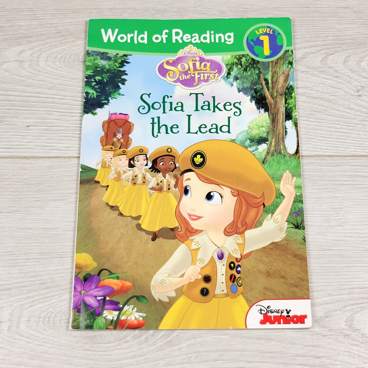 GFST2 - Sofia Takes the Lead. Soft cover early reader book