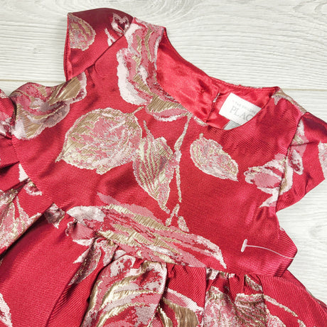 JEPR1 - NEW - Children's Place red and gold floral print special occasion dress. Size 9-12 months