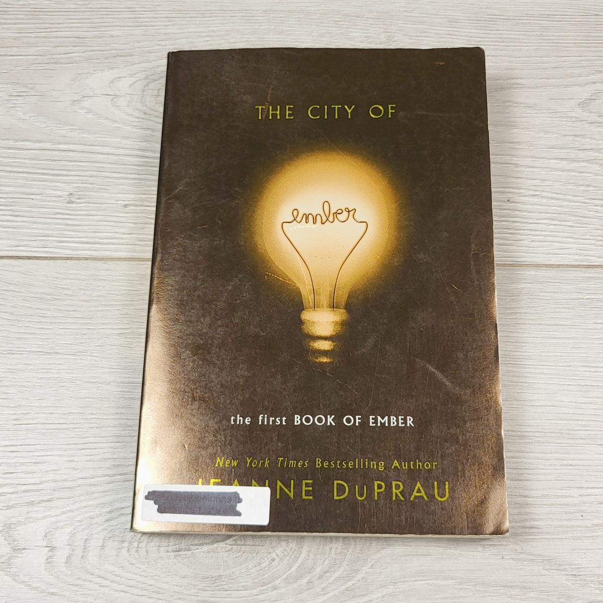 JLSN22 - The City of Ember. Soft cover chaopter book
