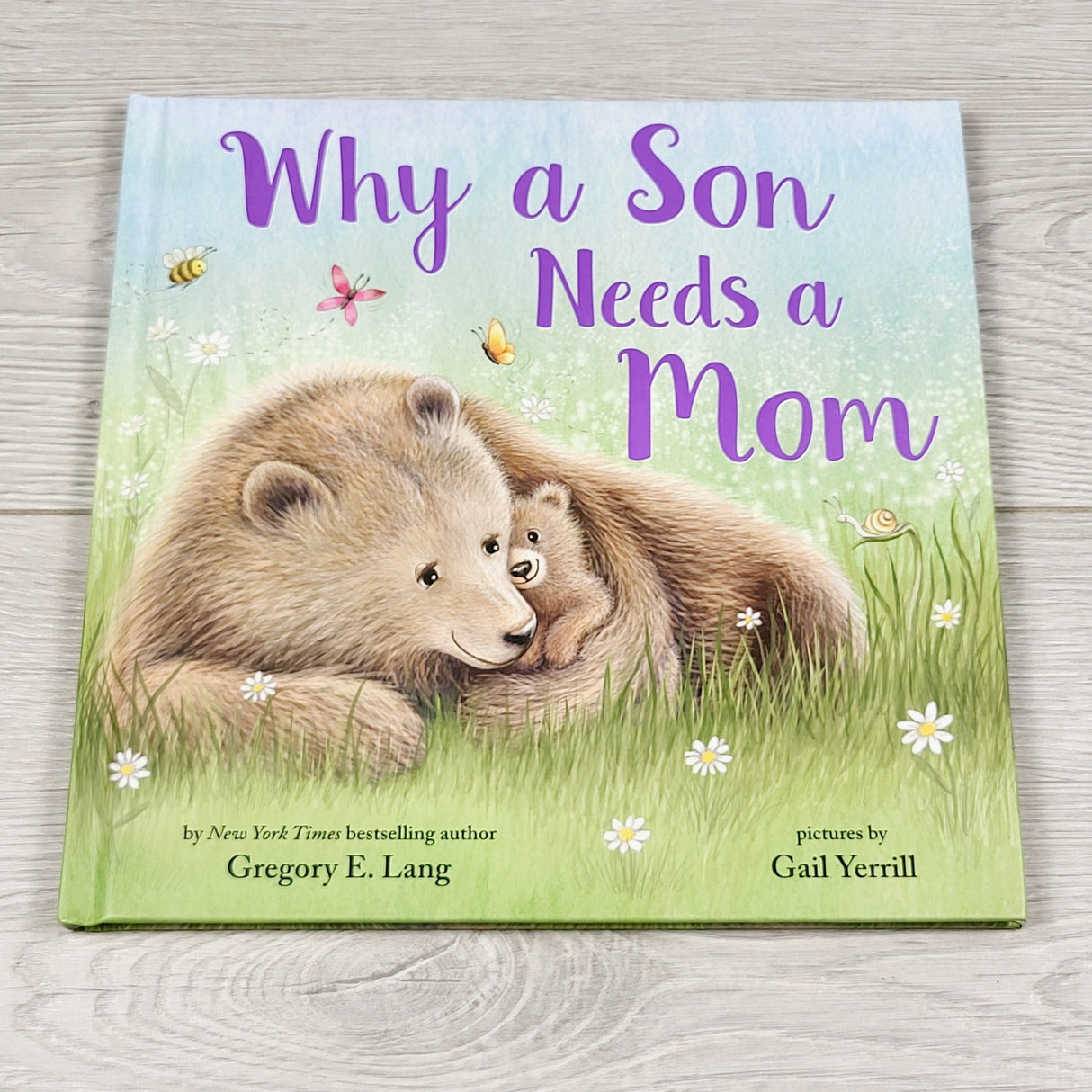 CBEN1 - Why a Son Needs a Mom. Hardcover book