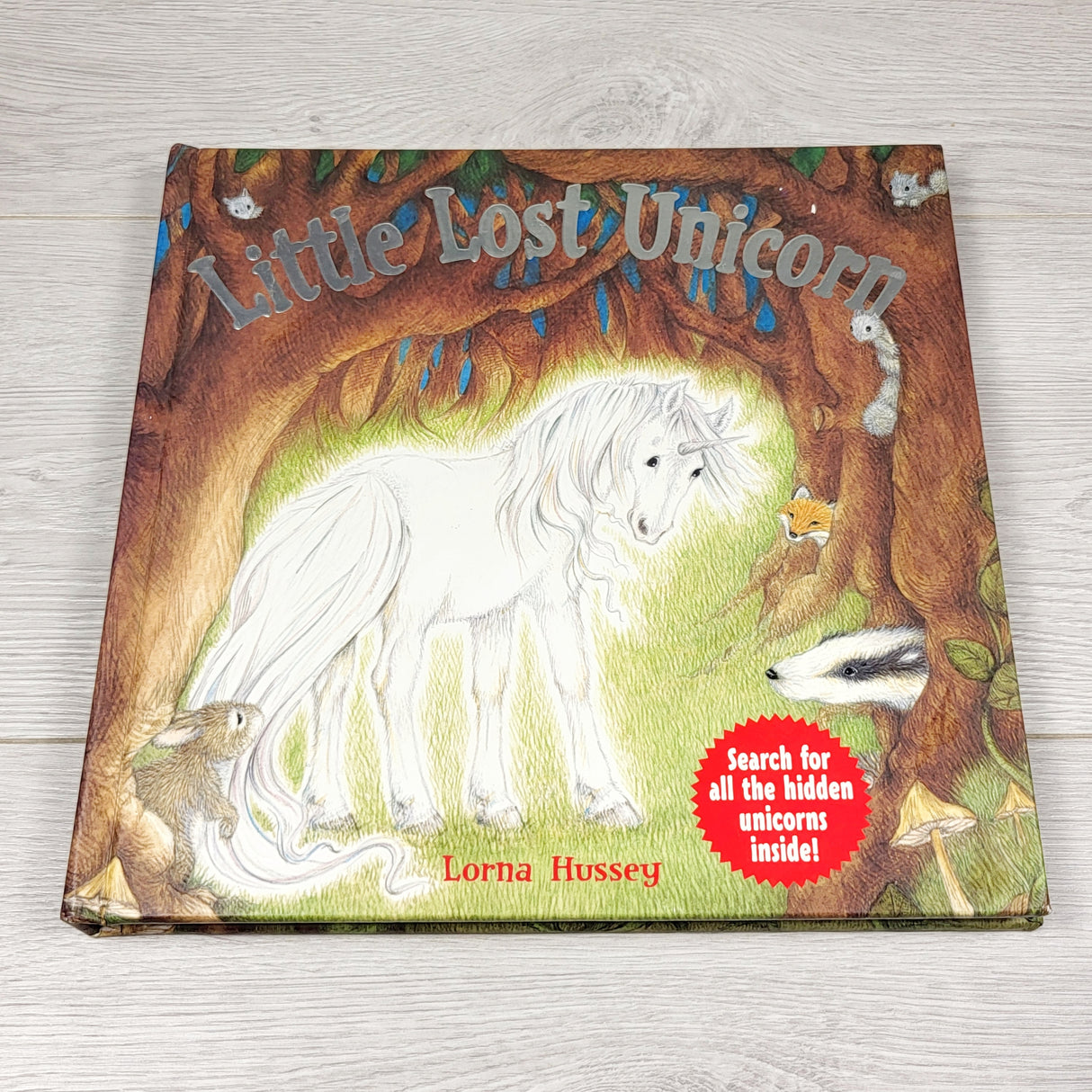 ALWE3 - Little Lost Unicorn. Hardcover book with textured and embossed pages