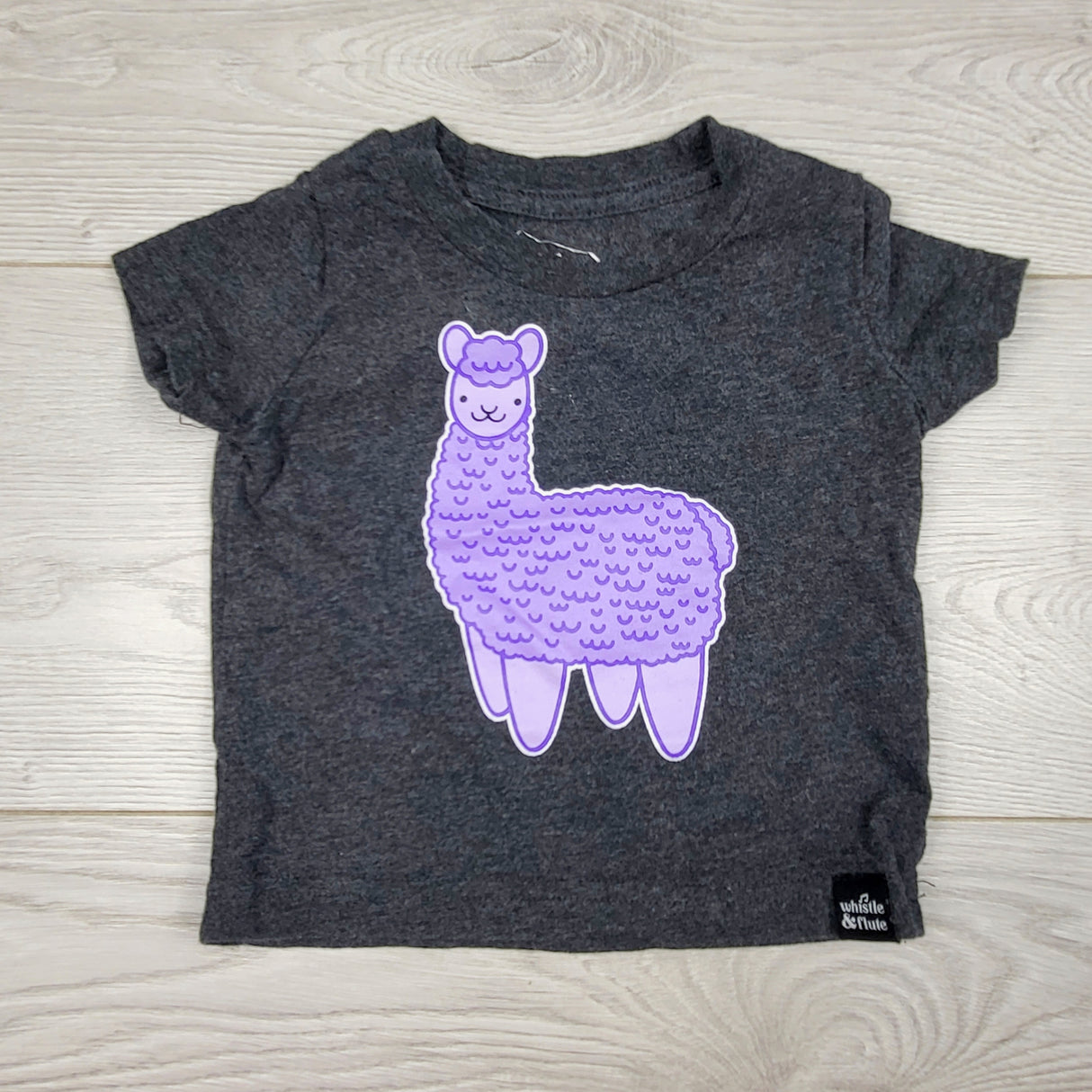 DOKN1 - Whistle and Flute llama t-shirt. Size 6-12 months 🍁