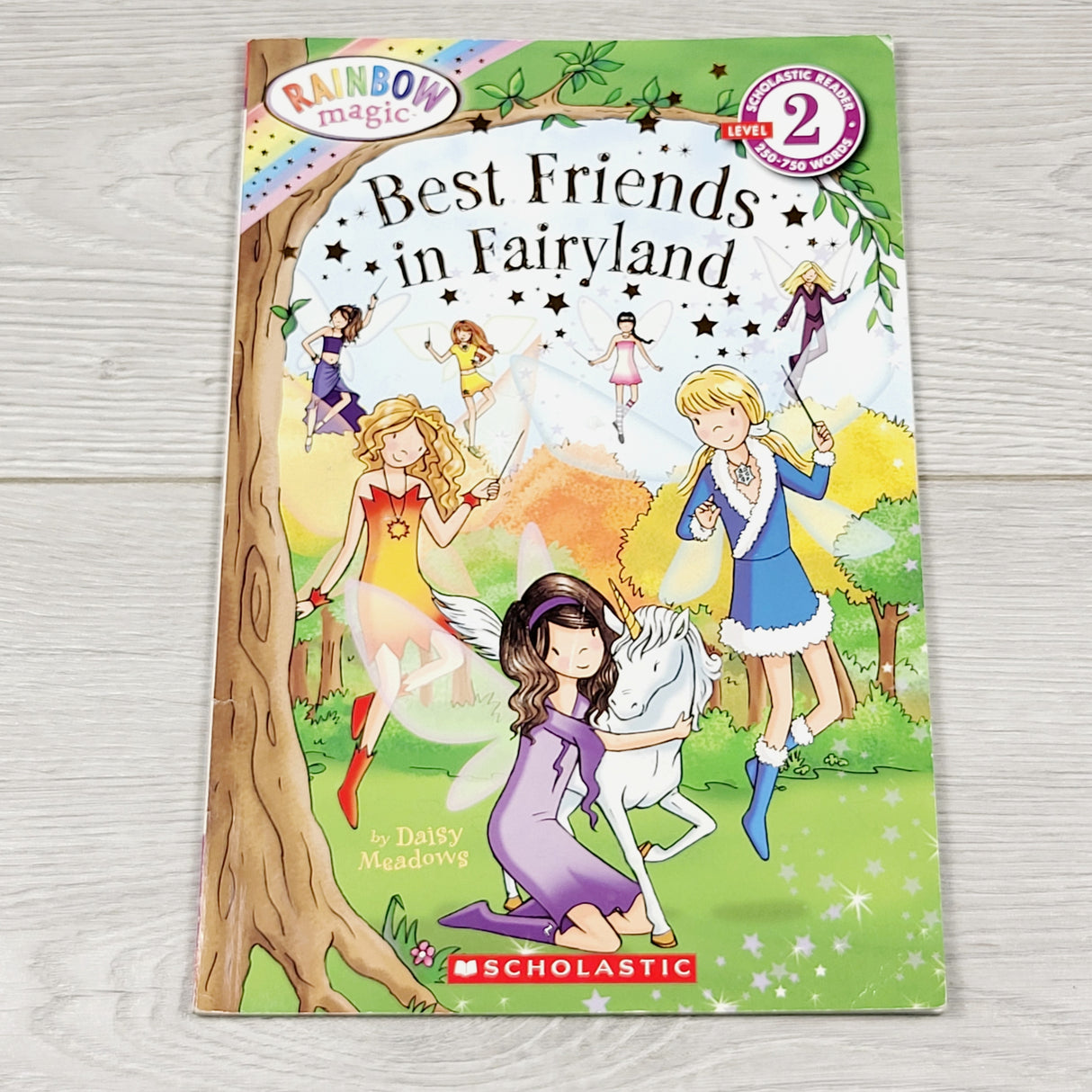 GFST3 - Best Friends in Fairyland. Soft cover early reader book