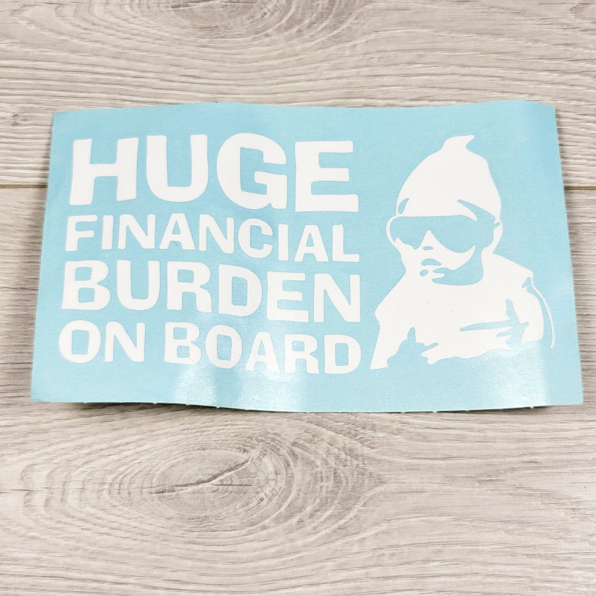 AMST1 - NEW - Huge Financial Burden on Board vinyl decal
