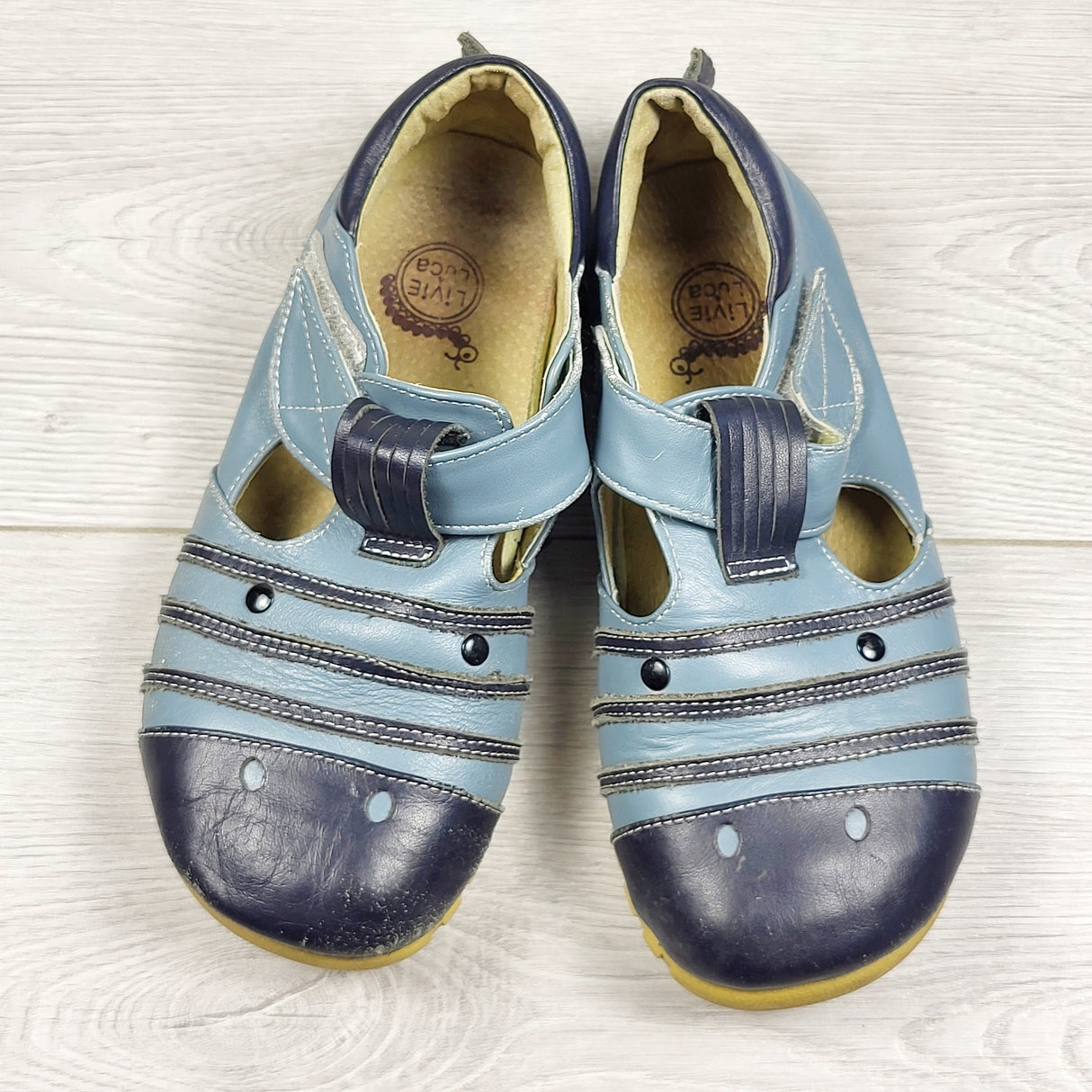DAMO2 - Livie and Luca blue leather "Sagan" zebra shoes. Size 13
