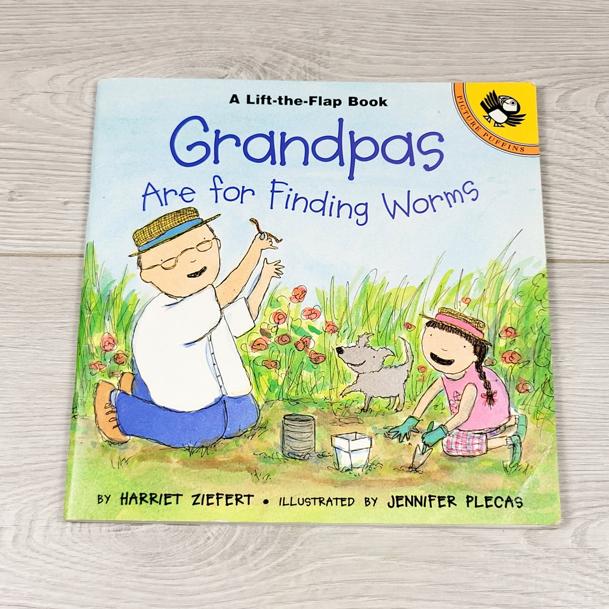 PBQ1 - Grandpas Are For Finding Worms. Soft cover lift the flap book